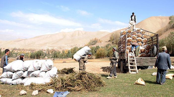 Regional Agricultural Development Program (RADP-East)